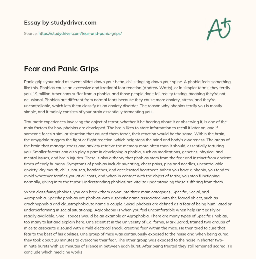Fear and Panic Grips essay