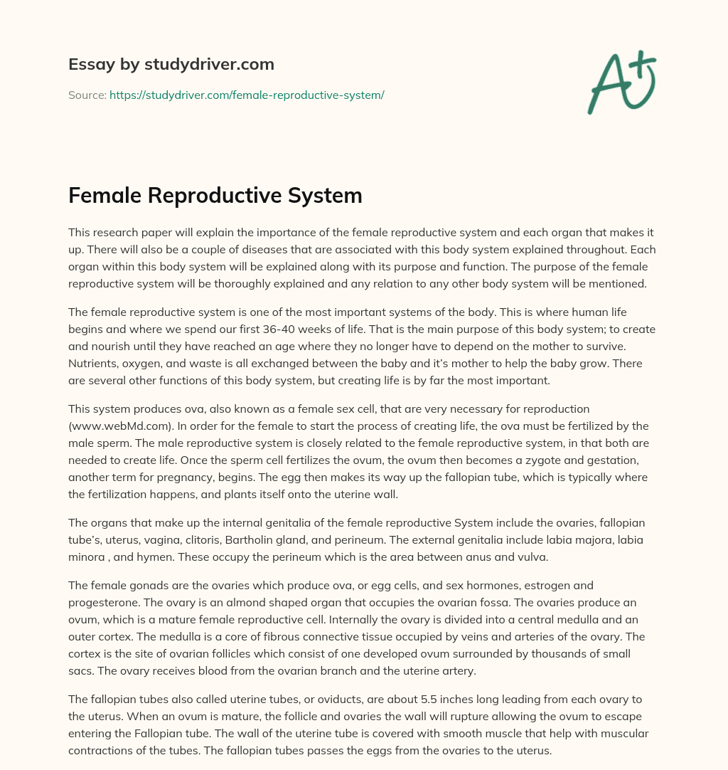 Female Reproductive System essay