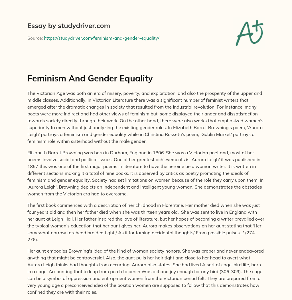 Feminism and Gender Equality essay