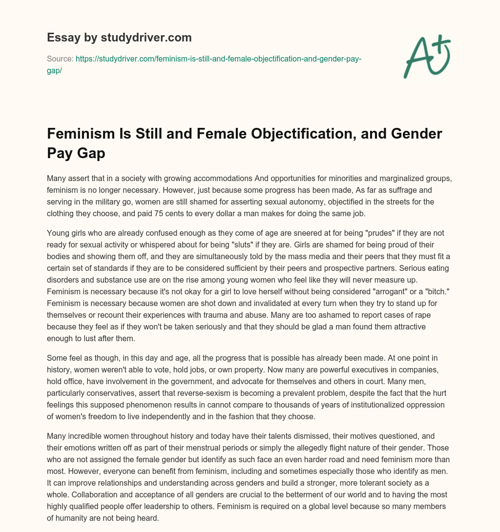 Feminism is Still and Female Objectification, and Gender Pay Gap essay