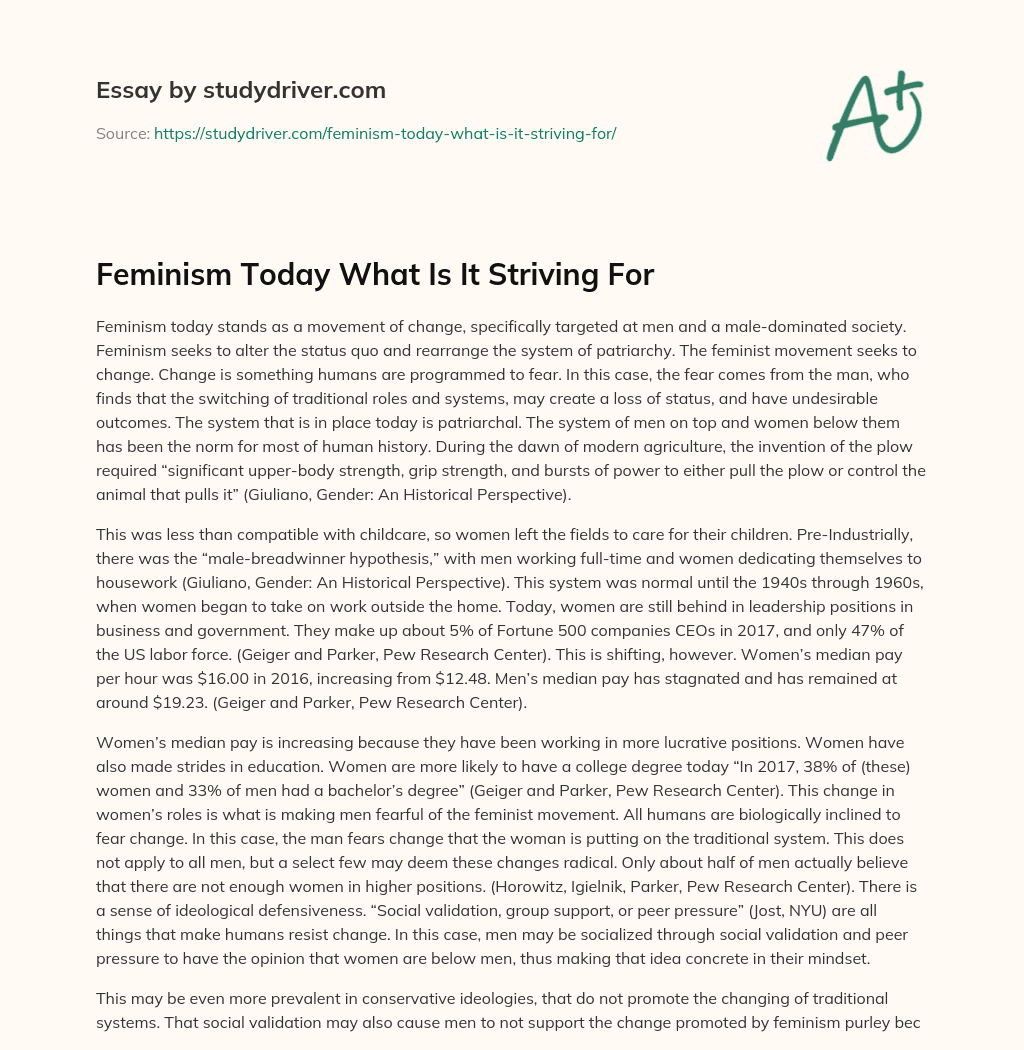 Feminism Today what is it Striving for essay