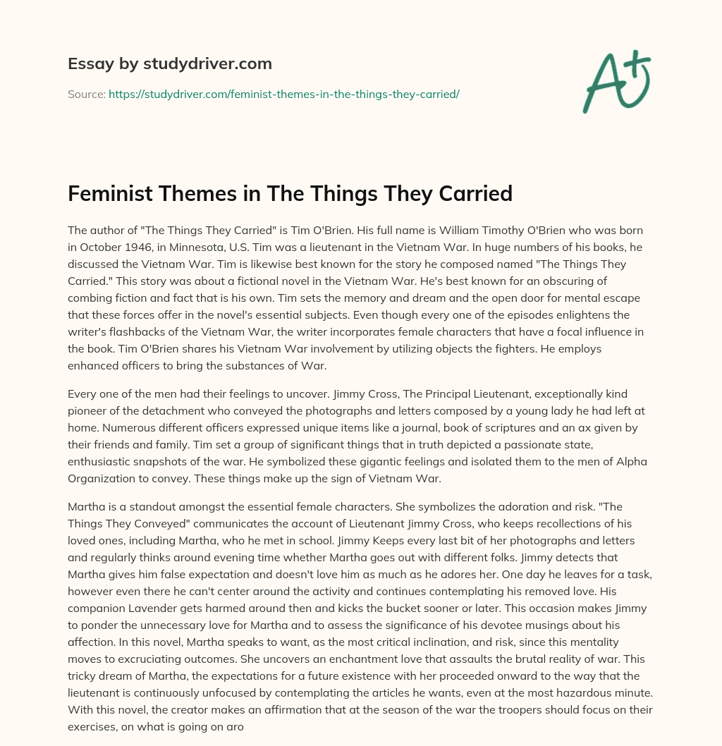 Feminist Themes in the Things they Carried essay