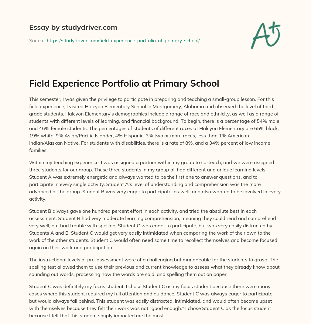 Field Experience Portfolio at Primary School essay
