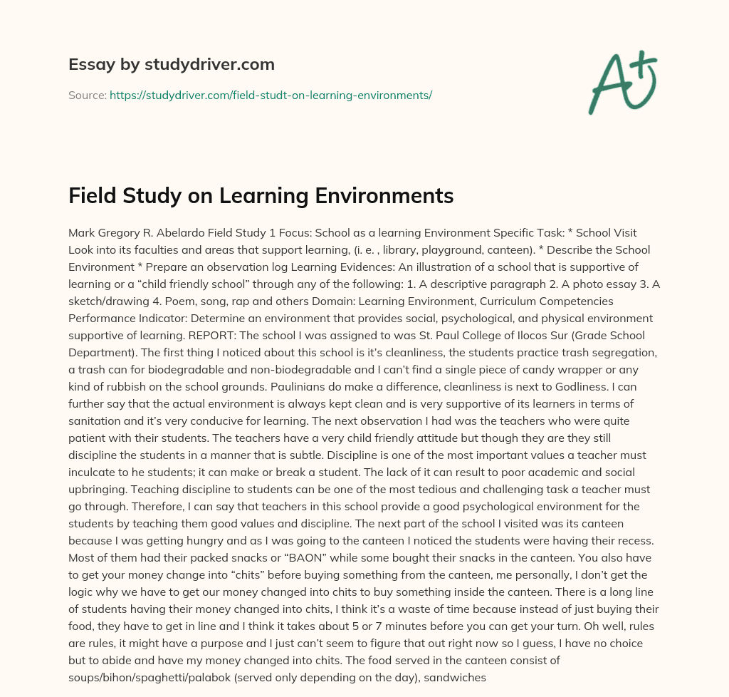 Field Study on Learning Environments essay
