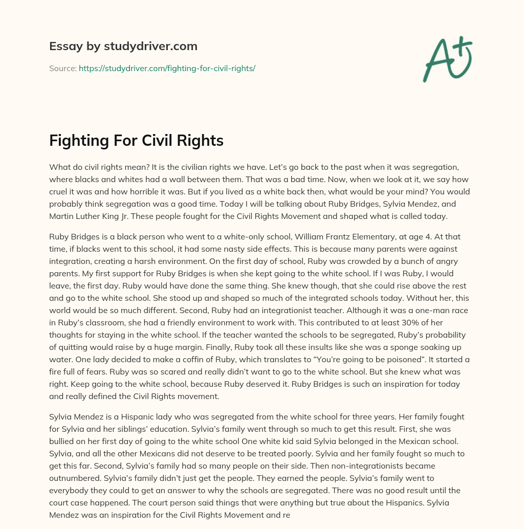 Fighting for Civil Rights essay