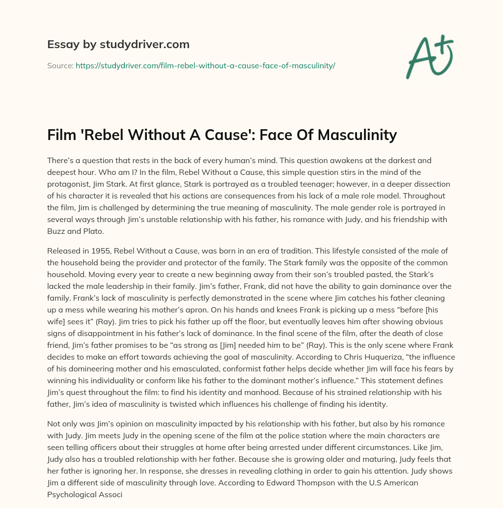 Film ‘Rebel Without a Cause’: Face of Masculinity essay