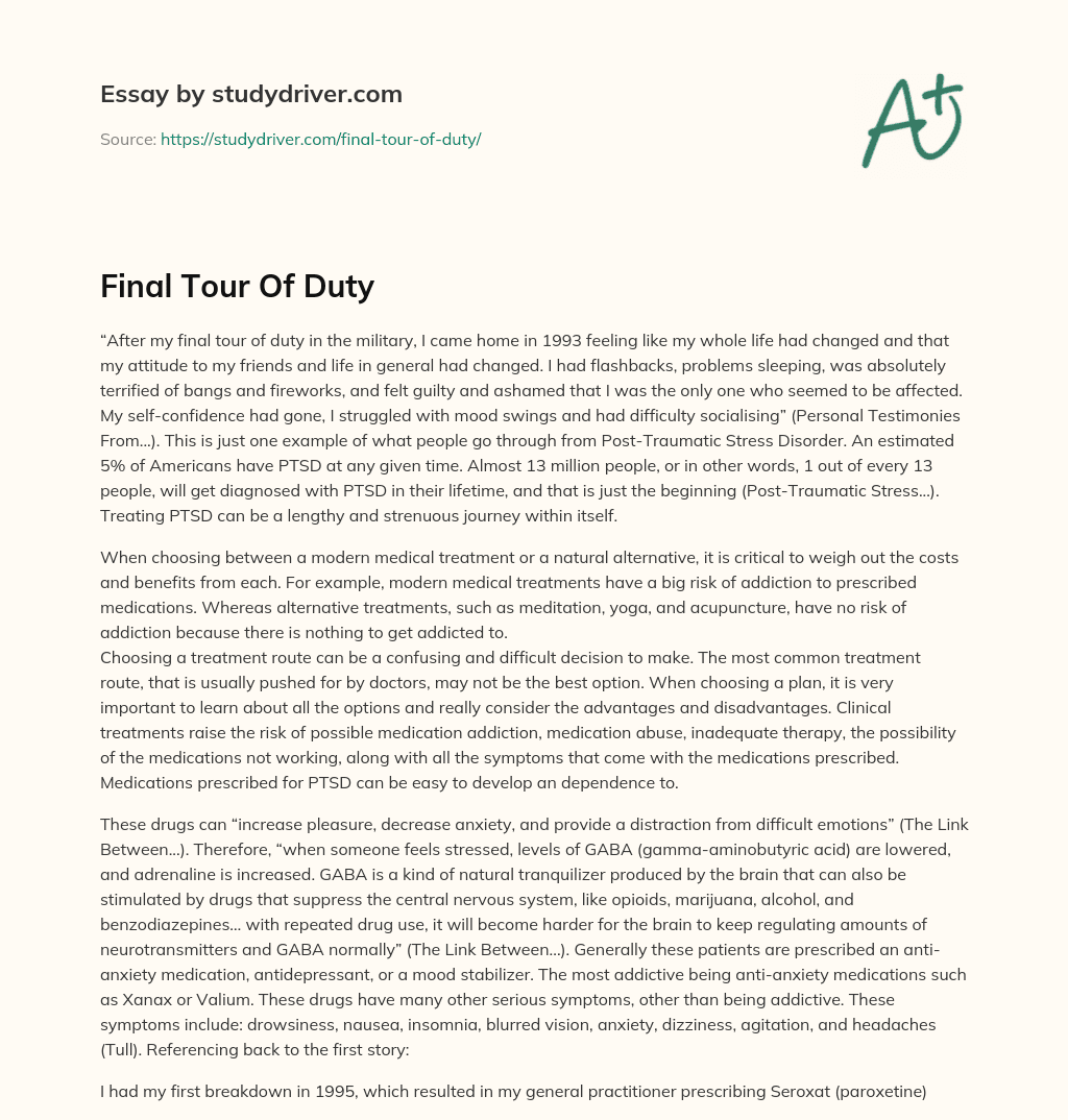 Final Tour of Duty essay