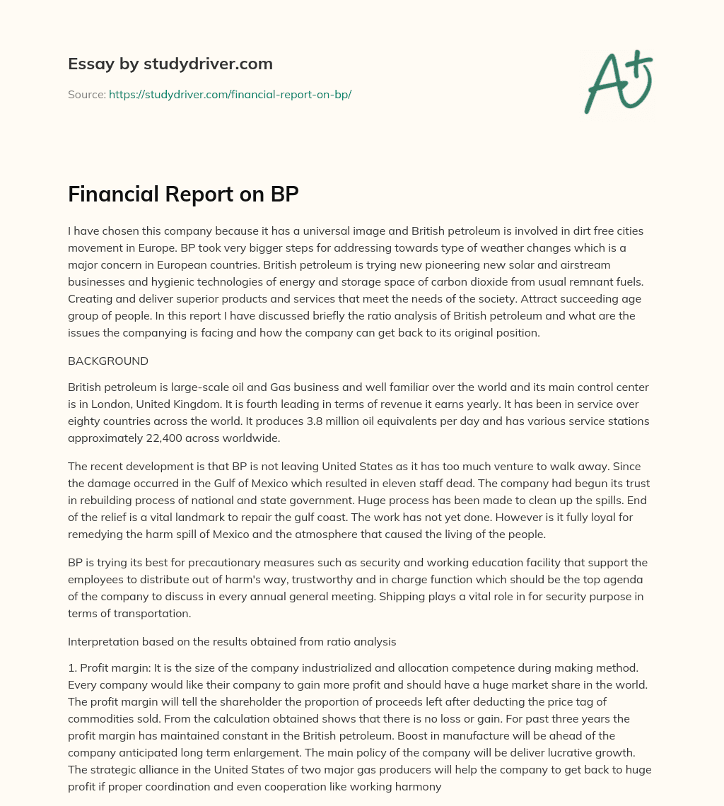 Financial Report on BP essay
