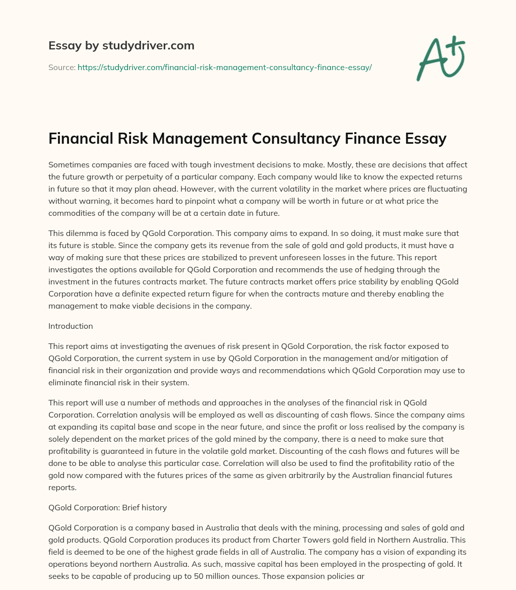 Financial Risk Management Consultancy Finance Essay essay