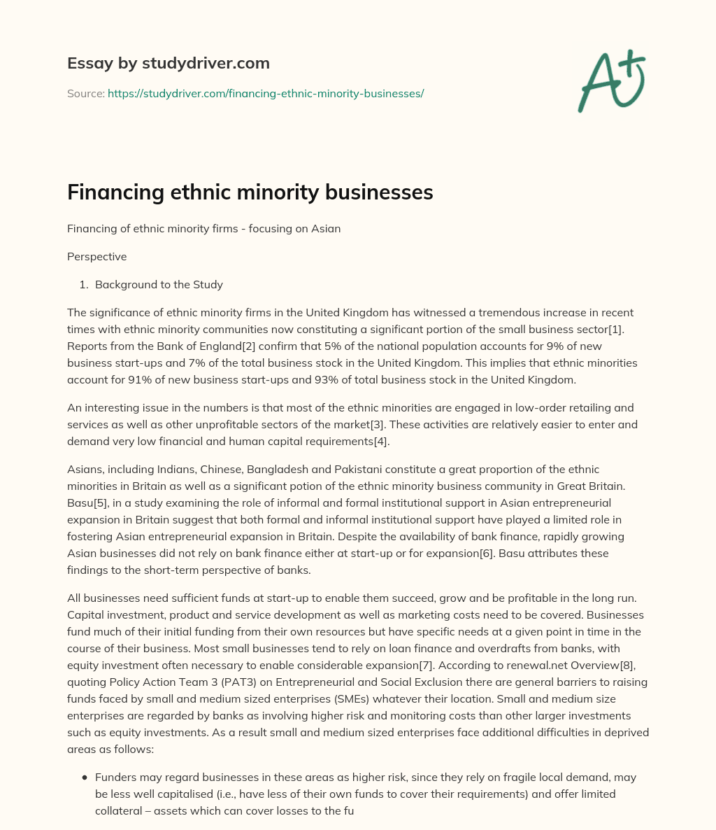 Financing Ethnic Minority Businesses essay