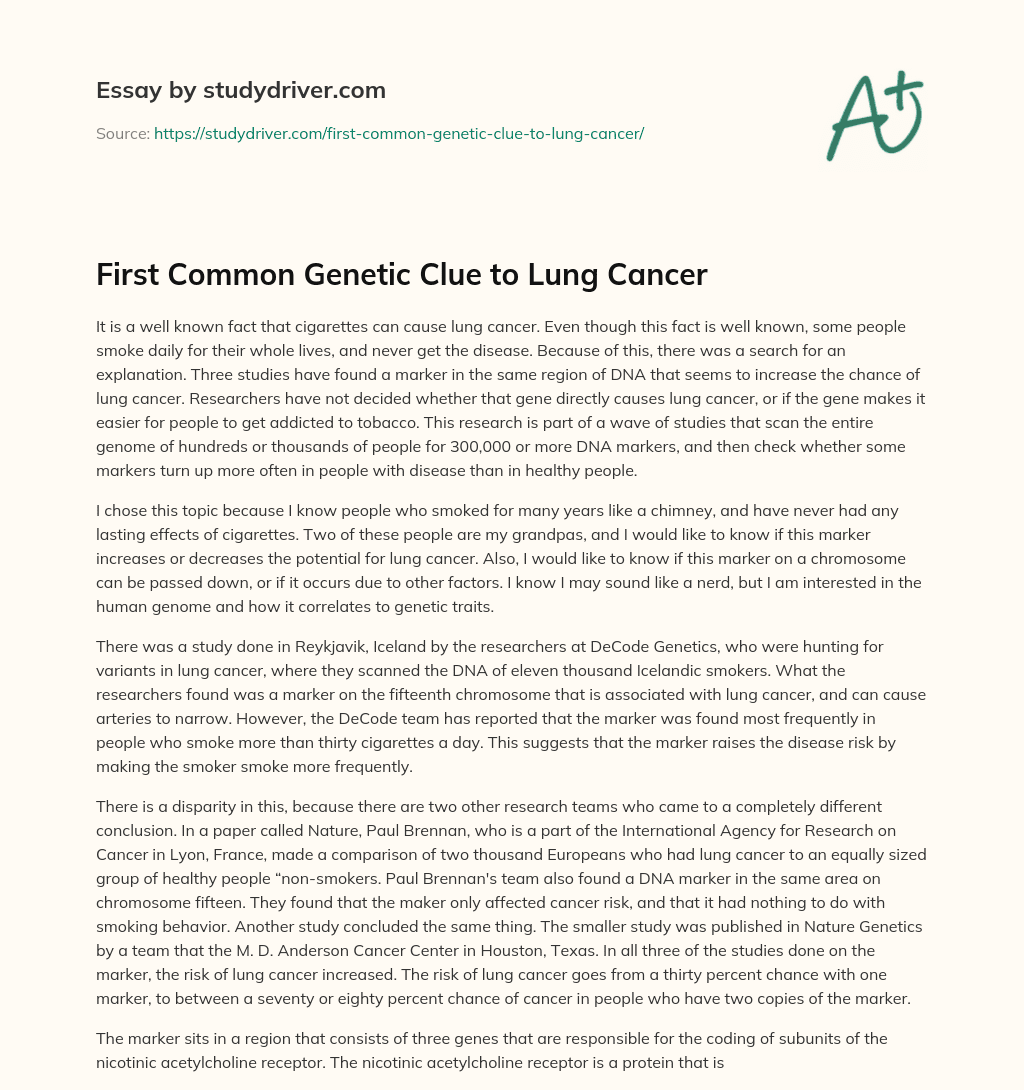 First Common Genetic Clue to Lung Cancer essay