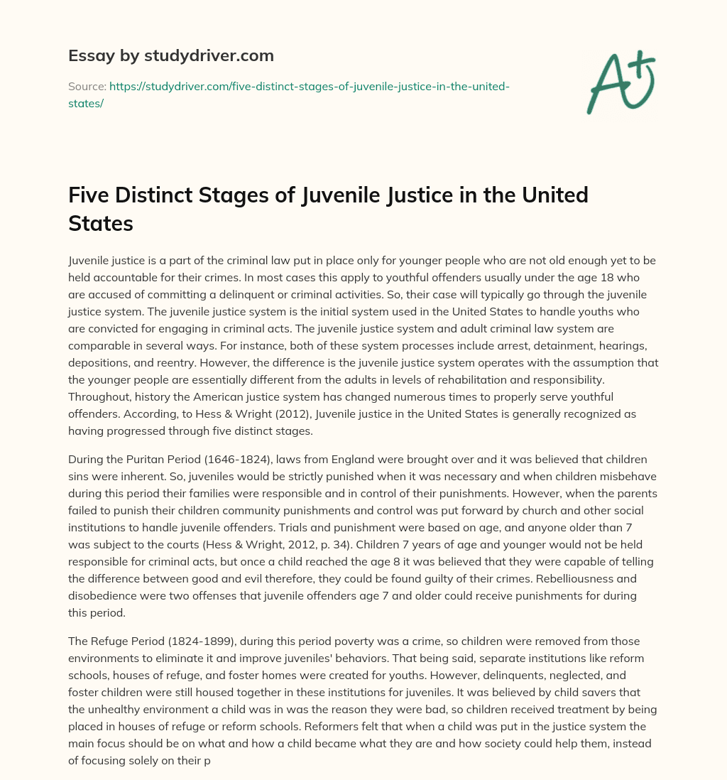 Five Distinct Stages of Juvenile Justice in the United States essay