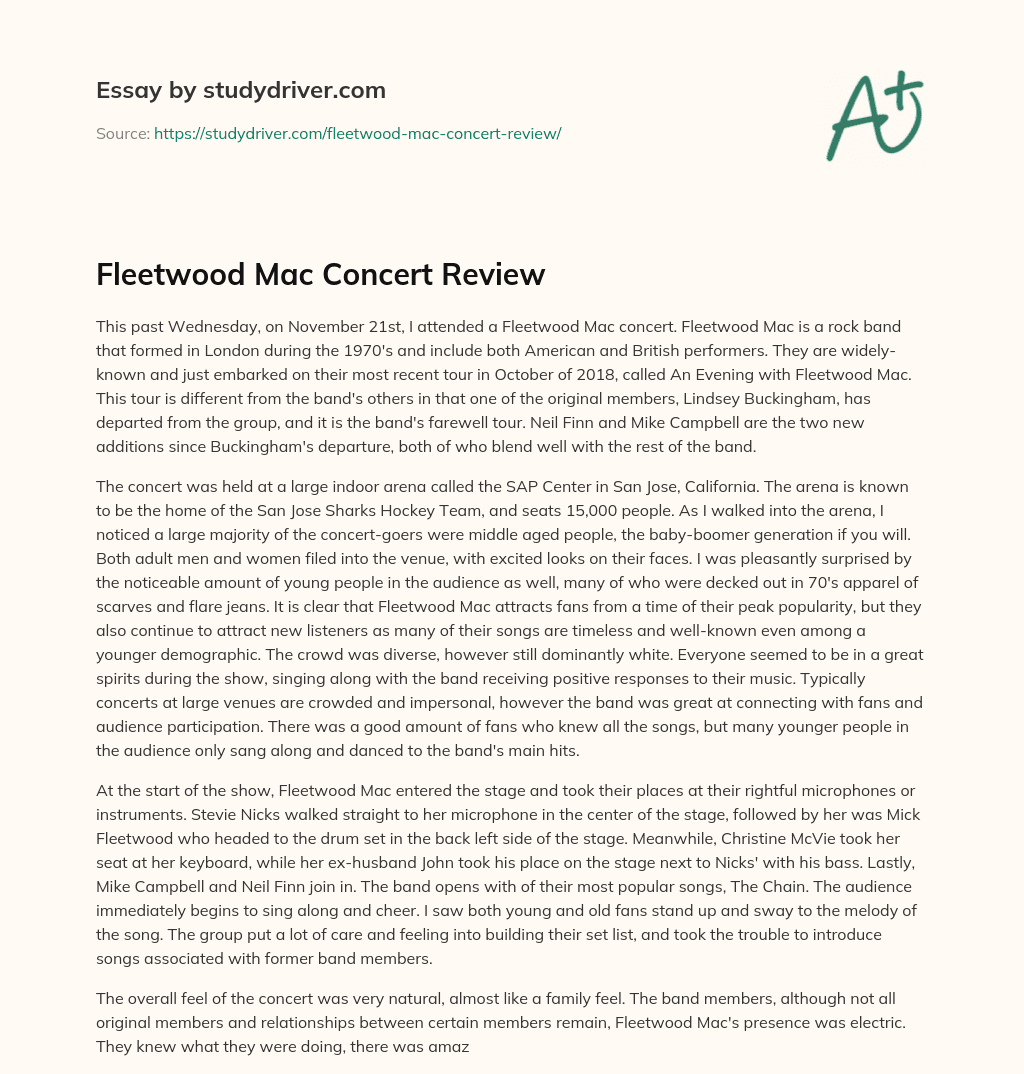 Fleetwood Mac Concert Review essay
