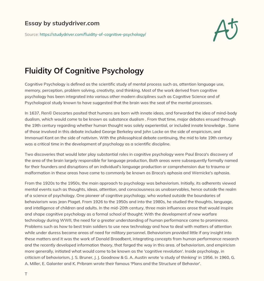 Fluidity of Cognitive Psychology essay