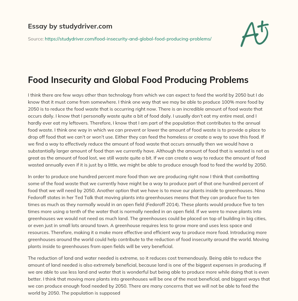 Food Insecurity and Global Food Producing Problems essay