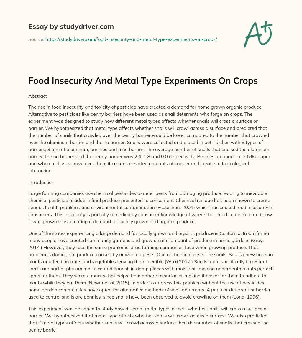 Food Insecurity and Metal Type Experiments on Crops essay