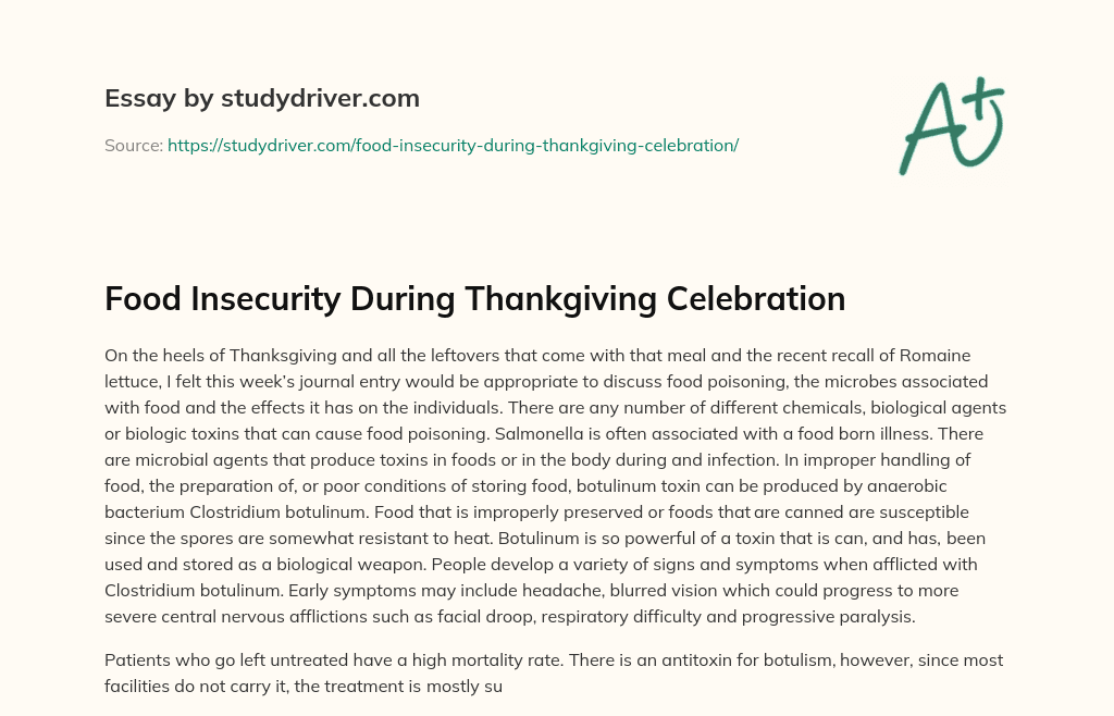 Food Insecurity during Thankgiving Celebration essay