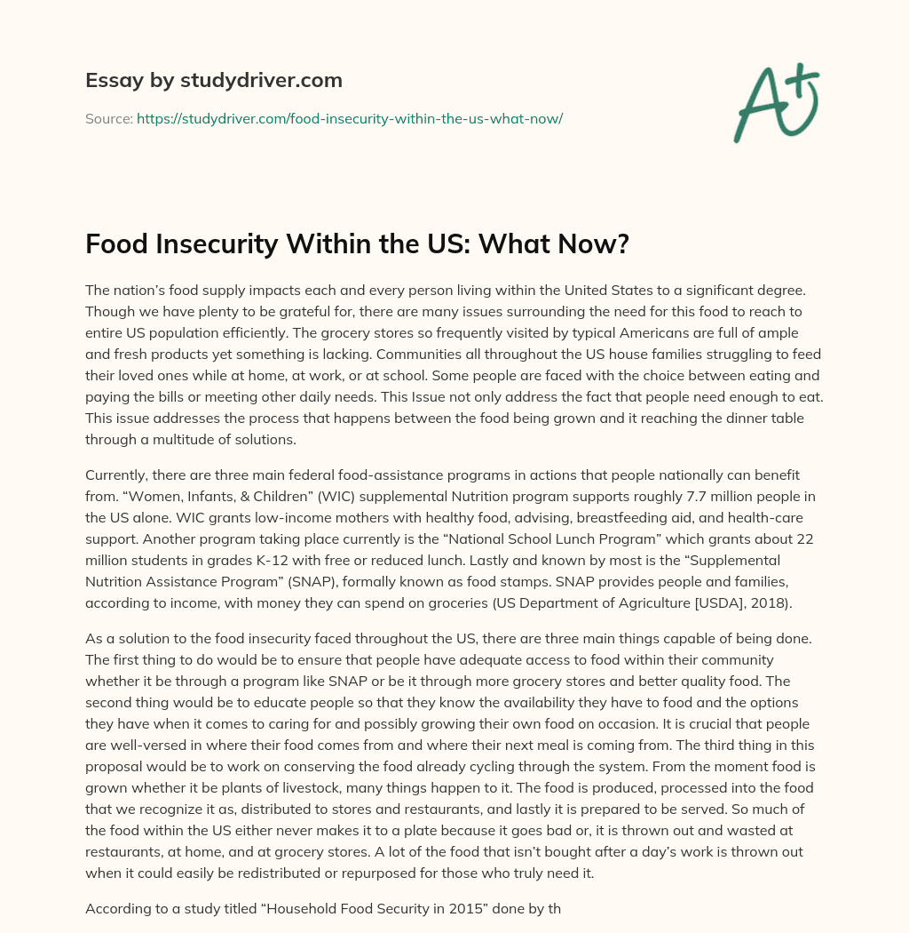 Food Insecurity Within the US: what Now? essay