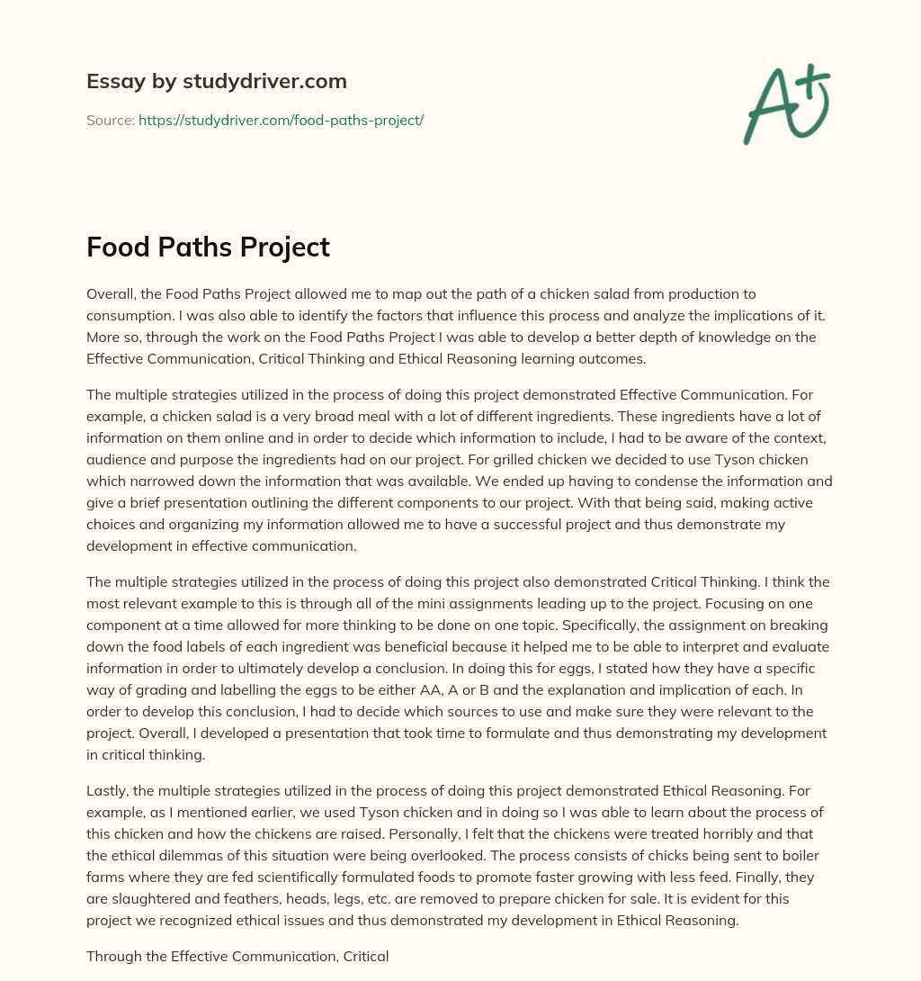Food Paths Project essay