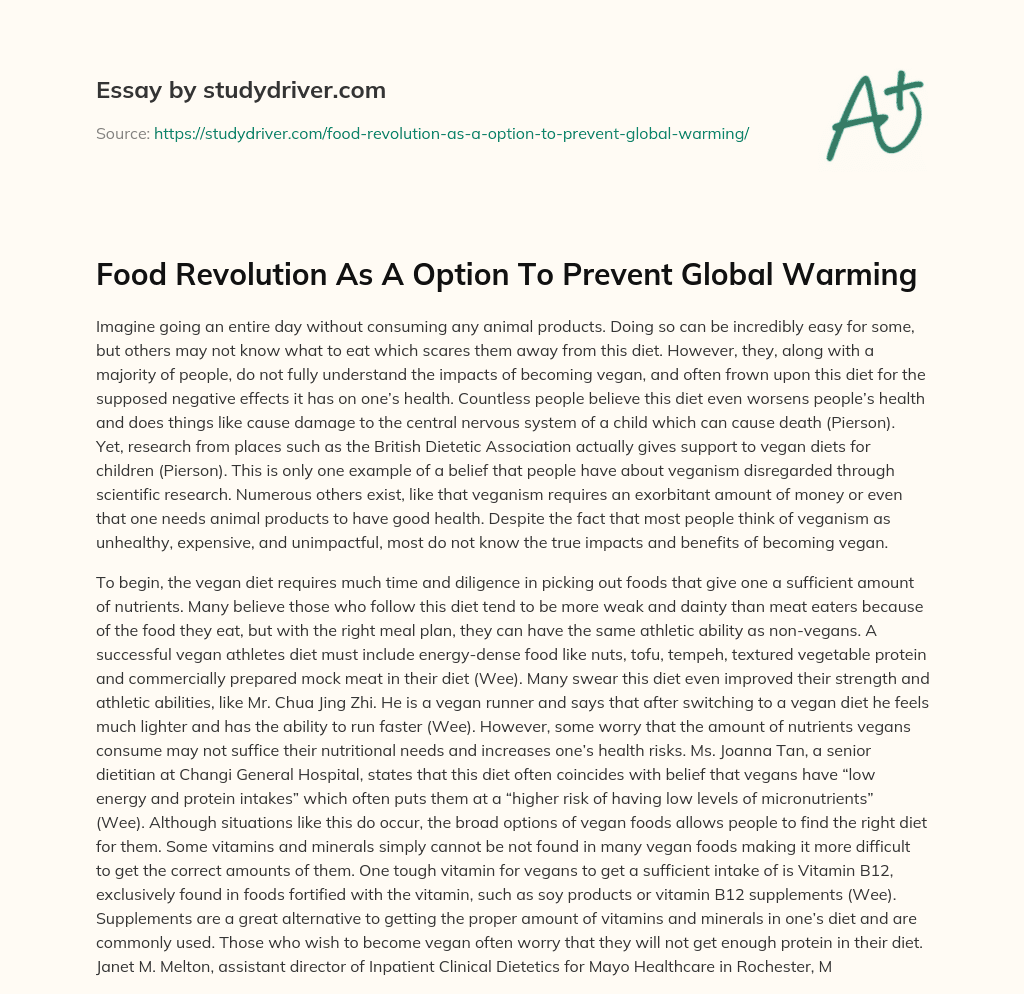 Food Revolution as a Option to Prevent Global Warming essay