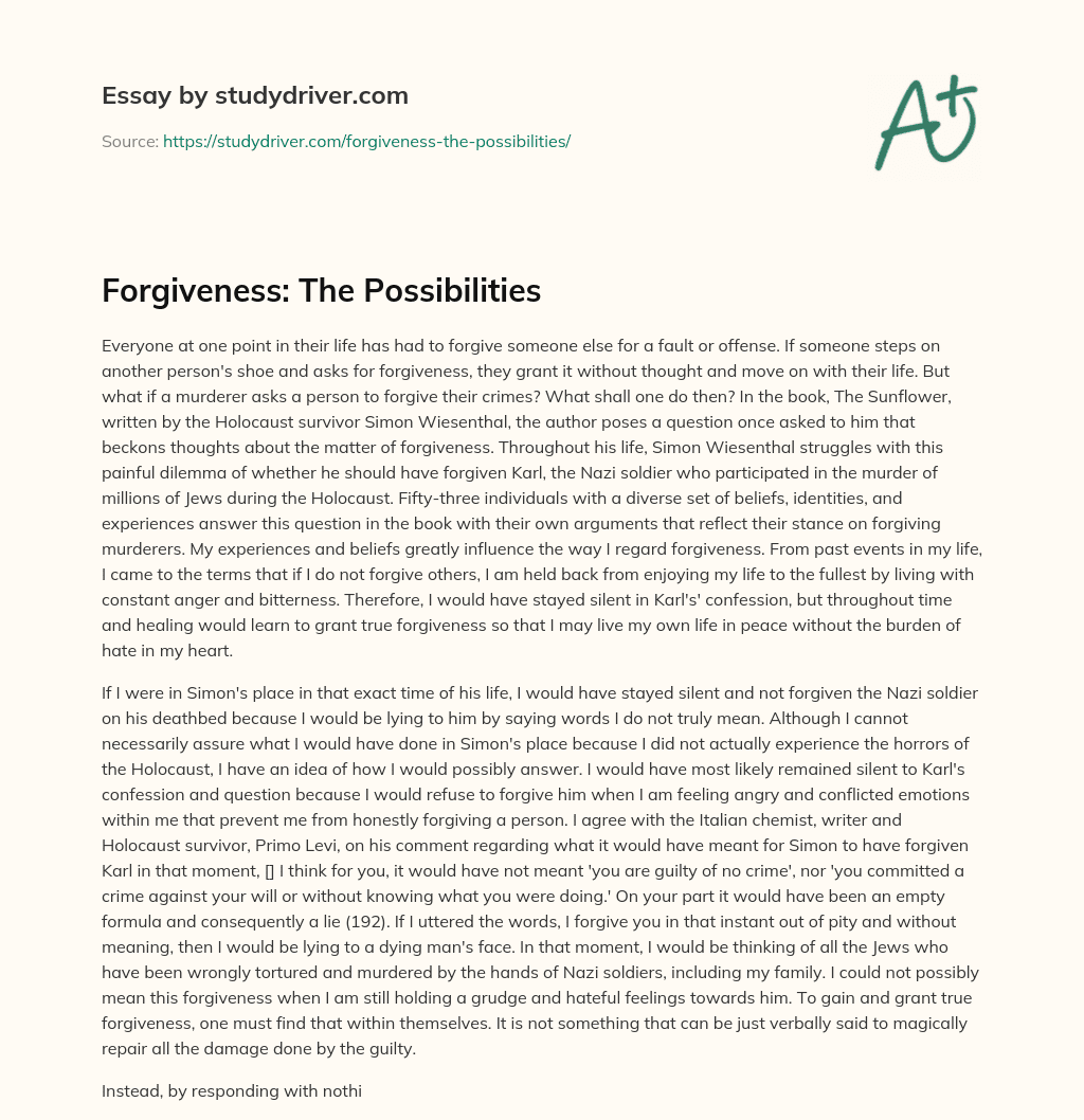 Forgiveness: the Possibilities essay