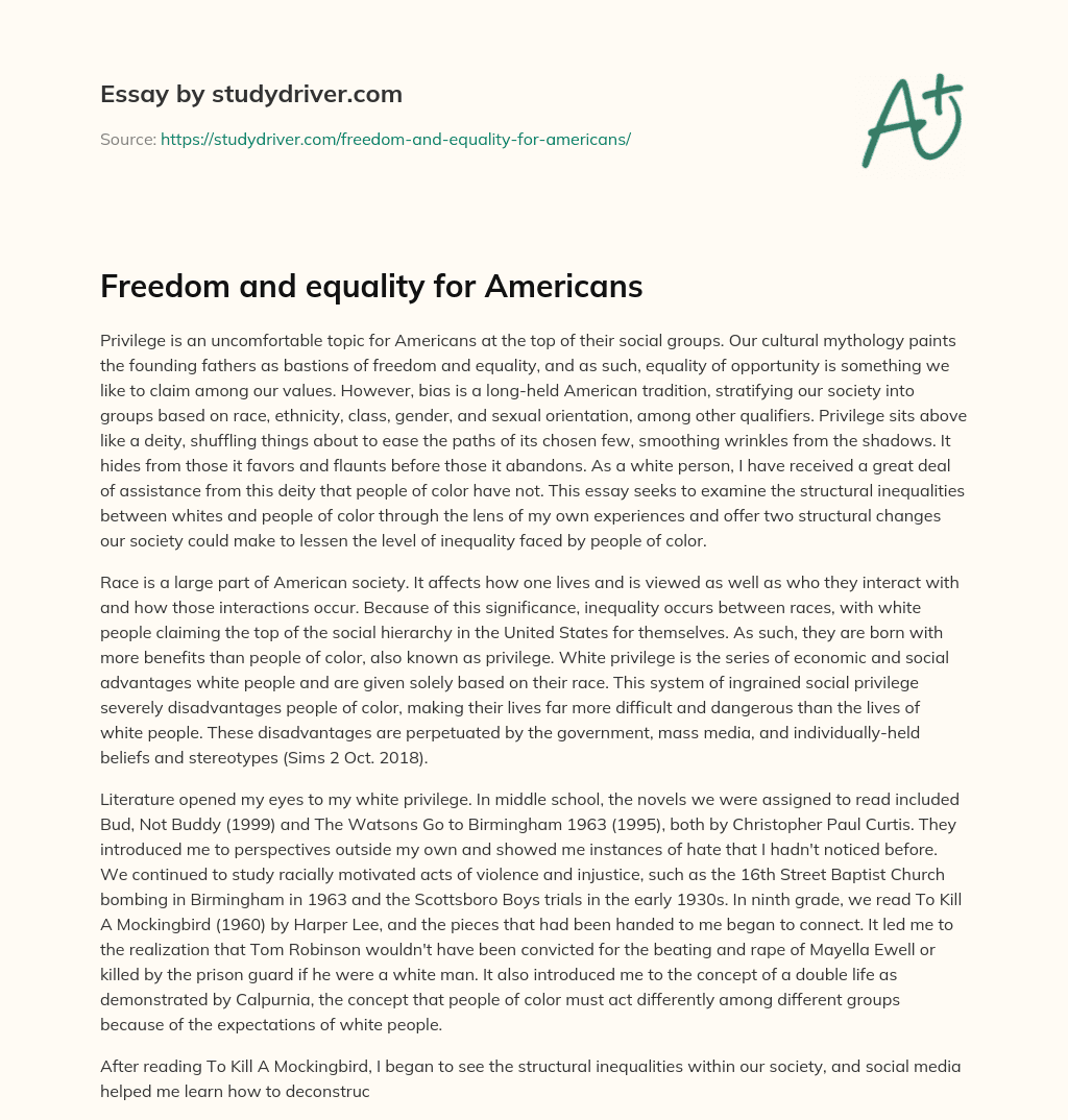 Freedom and Equality for Americans essay
