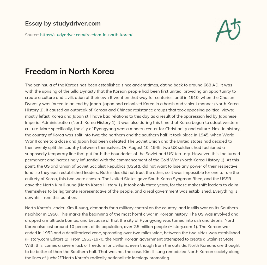 Freedom in North Korea essay
