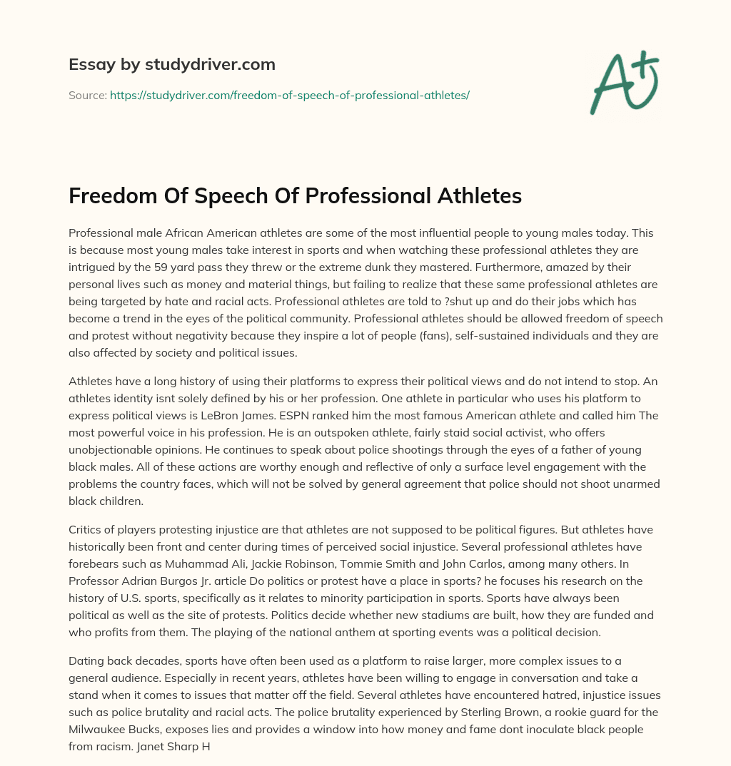 Freedom of Speech of Professional Athletes essay