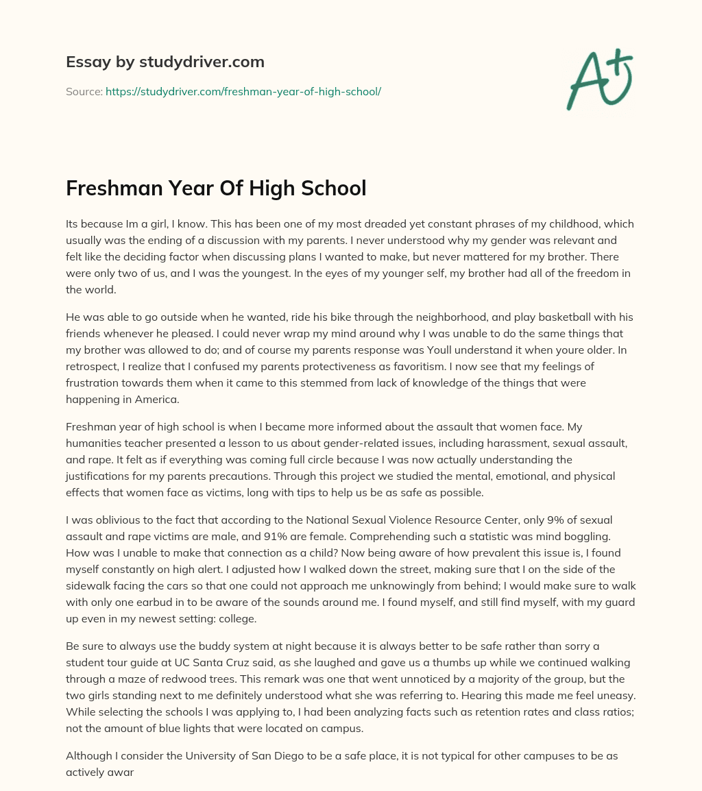 Freshman Year of High School essay