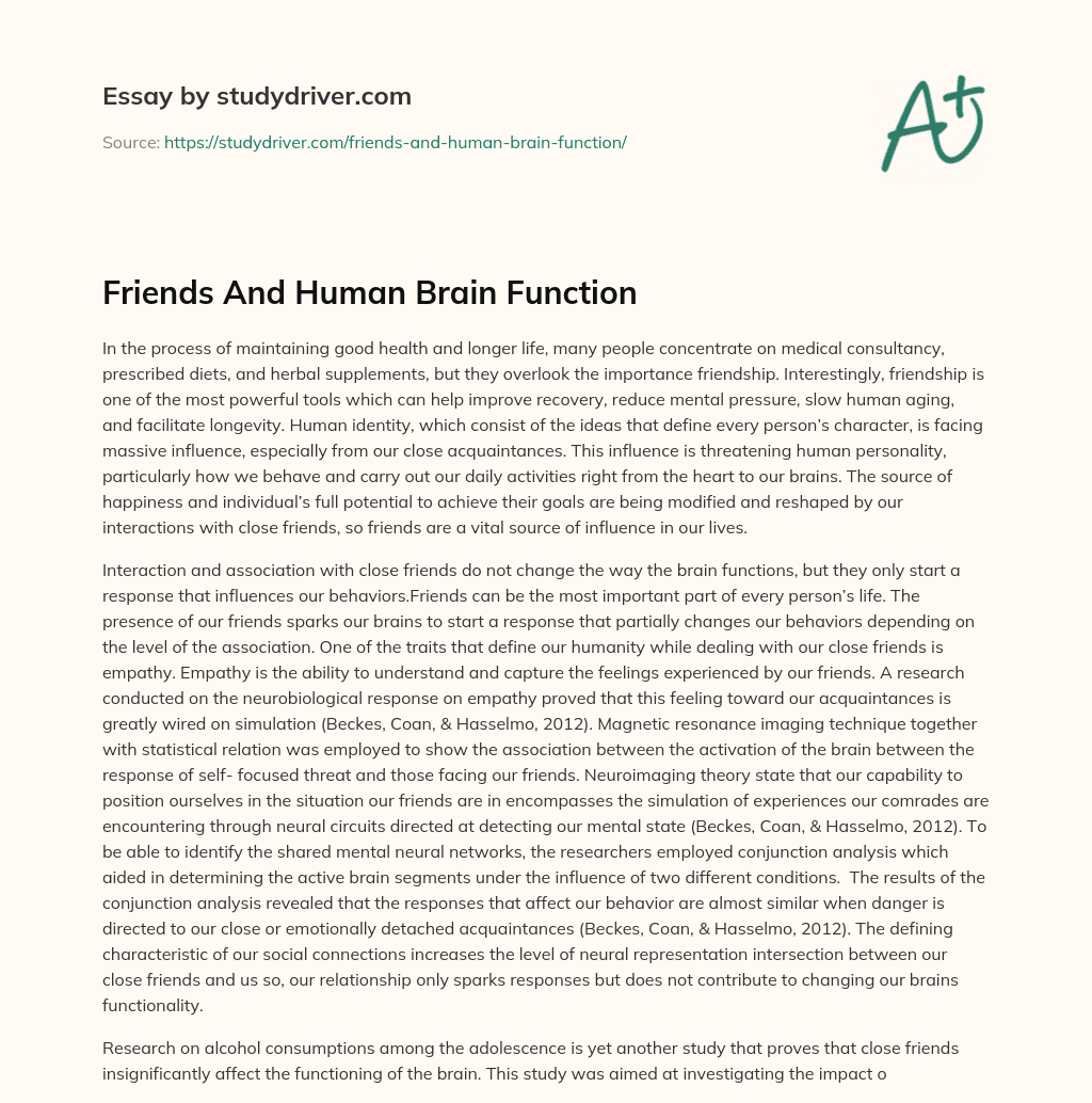 Friends and Human Brain Function essay