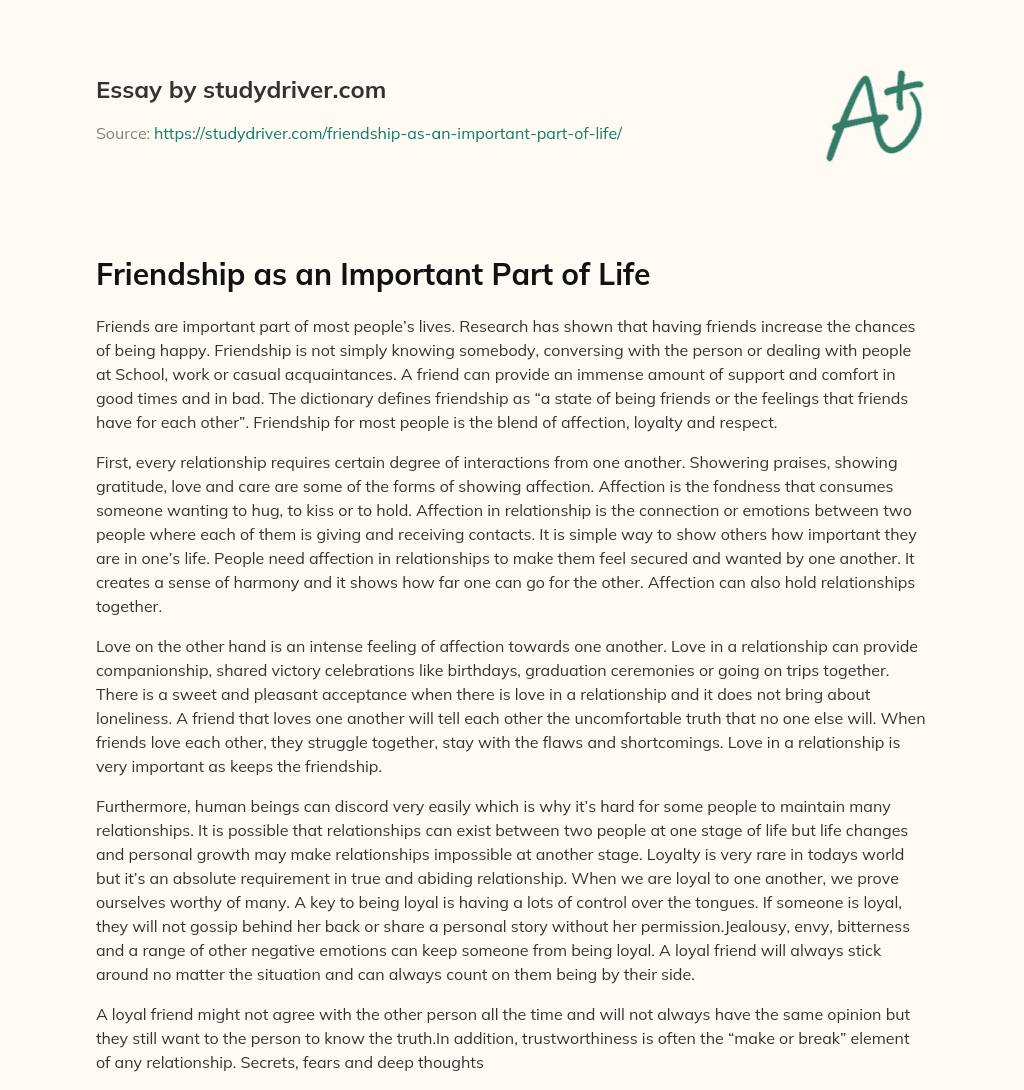 Friendship as an Important Part of Life essay