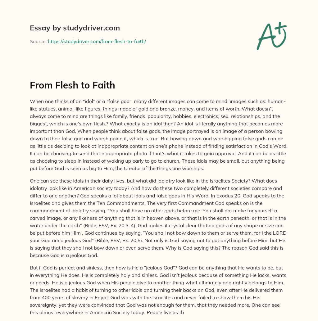 From Flesh to Faith essay