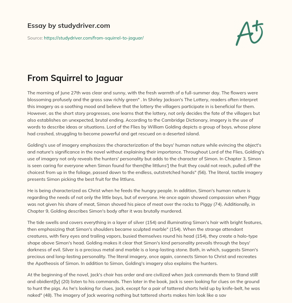 From Squirrel to Jaguar essay