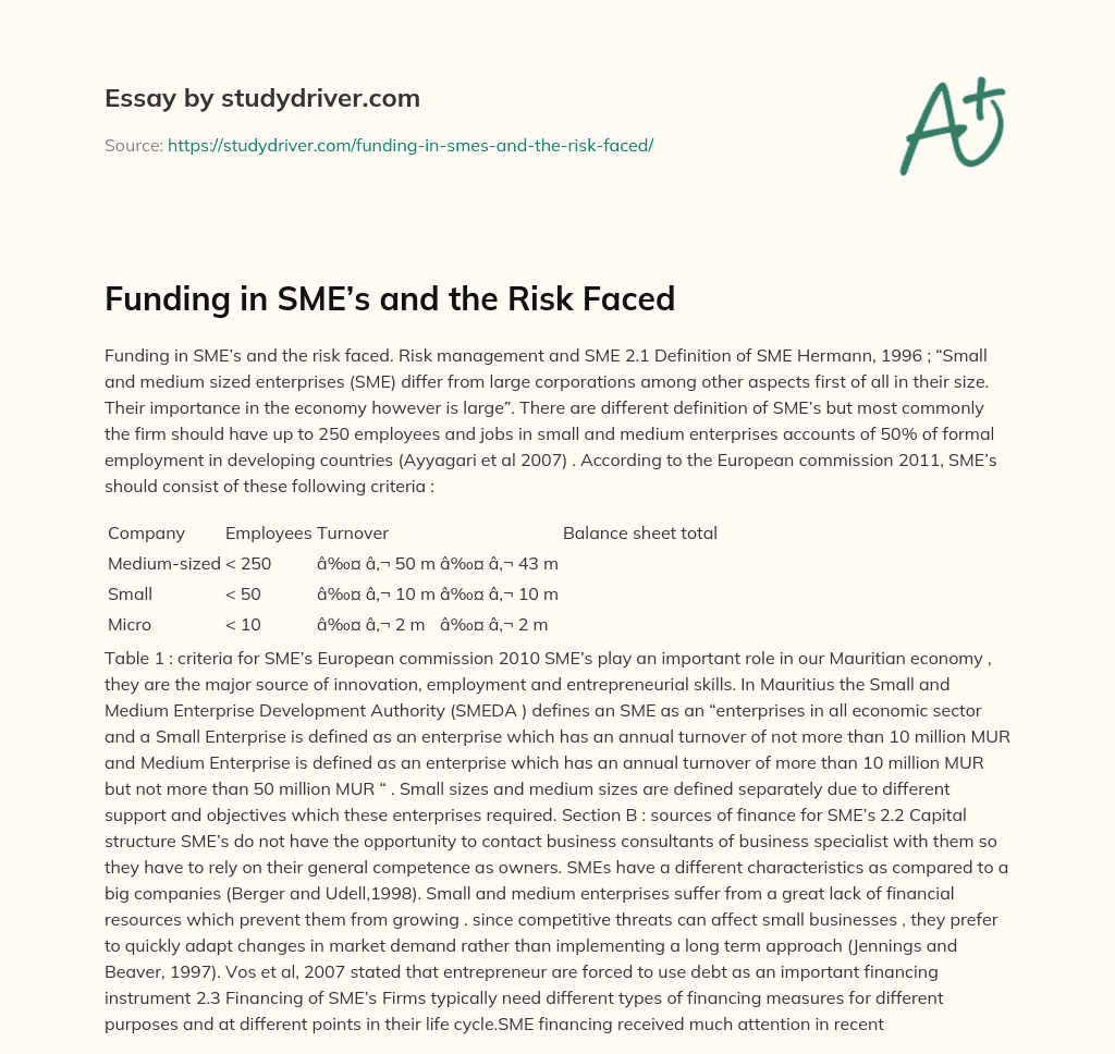 Funding in SME’s and the Risk Faced essay