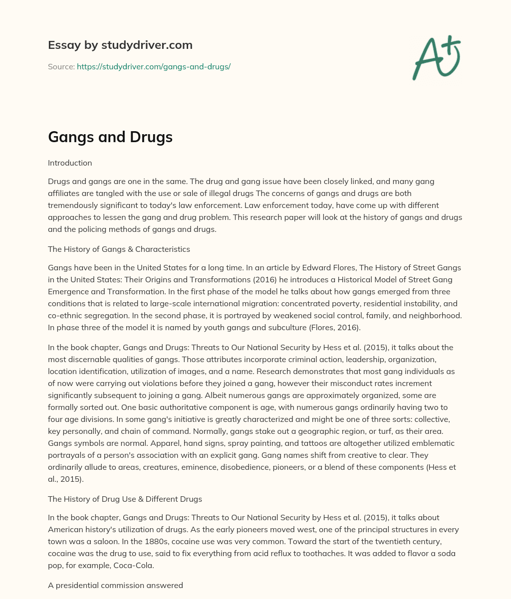 Gangs and Drugs essay