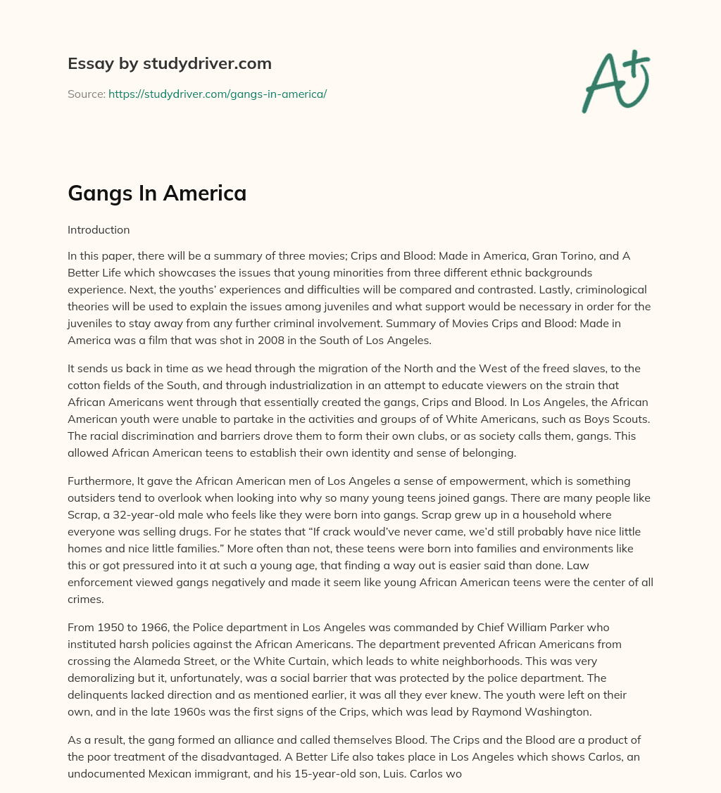 Gangs in America essay