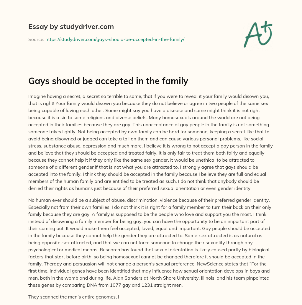 Gays should be Accepted in the Family essay