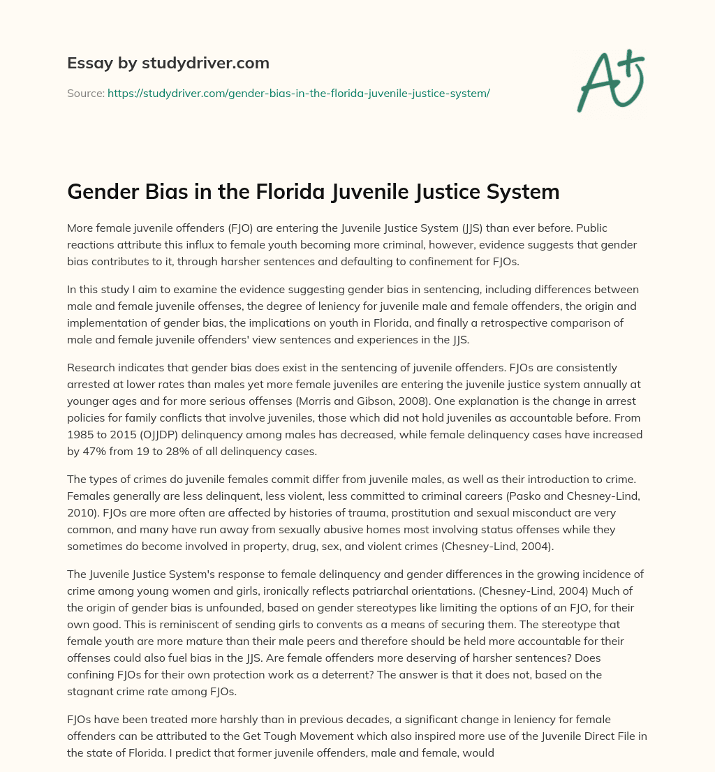 Gender Bias in the Florida Juvenile Justice System essay