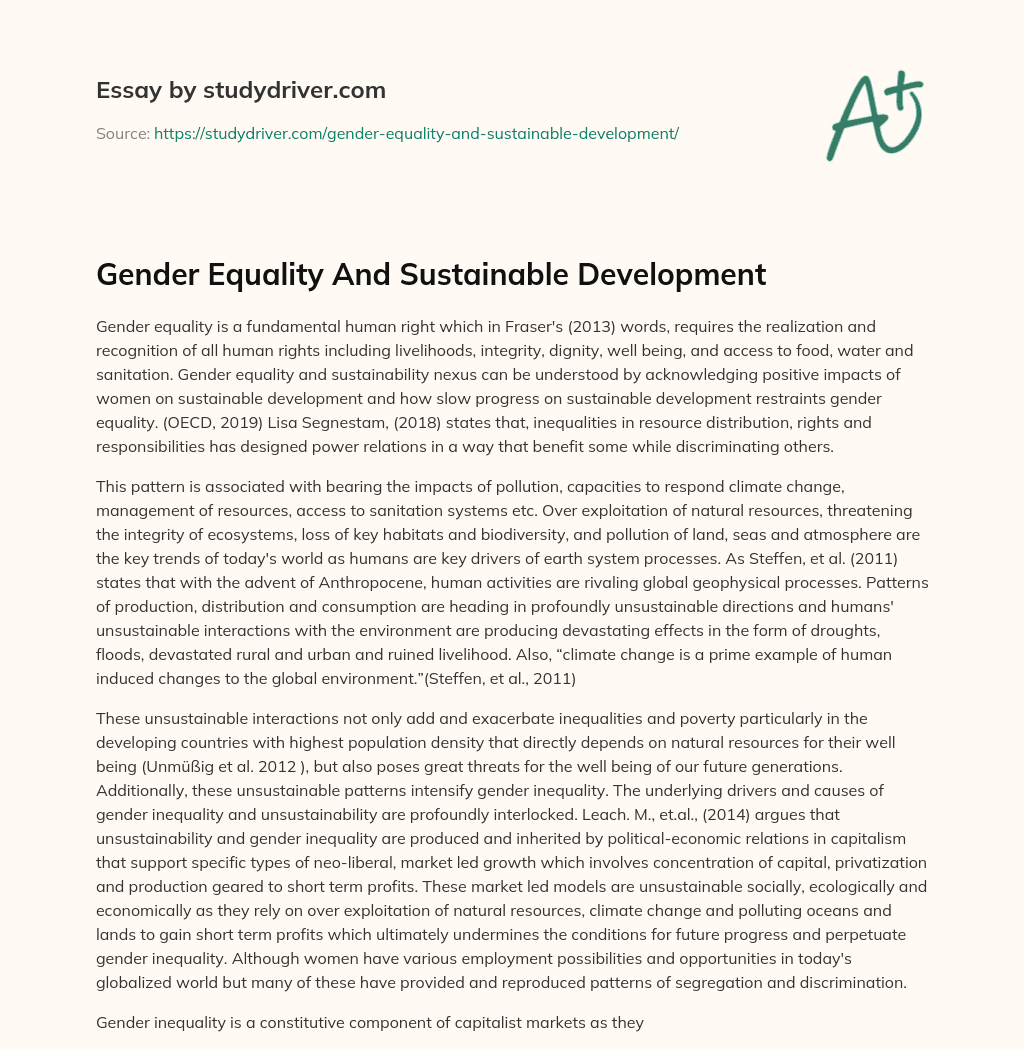 Gender Equality and Sustainable Development essay