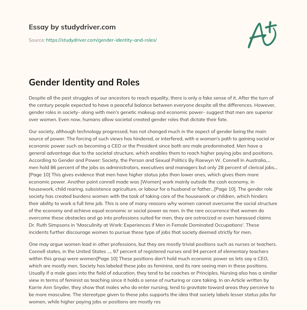 Gender Identity and Roles essay
