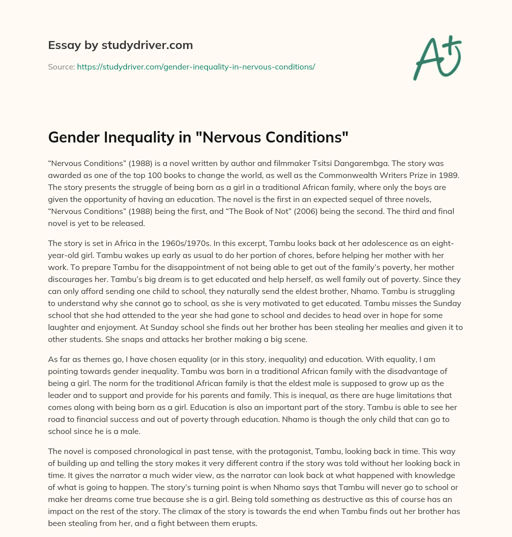 Gender Inequality in “Nervous Conditions” essay