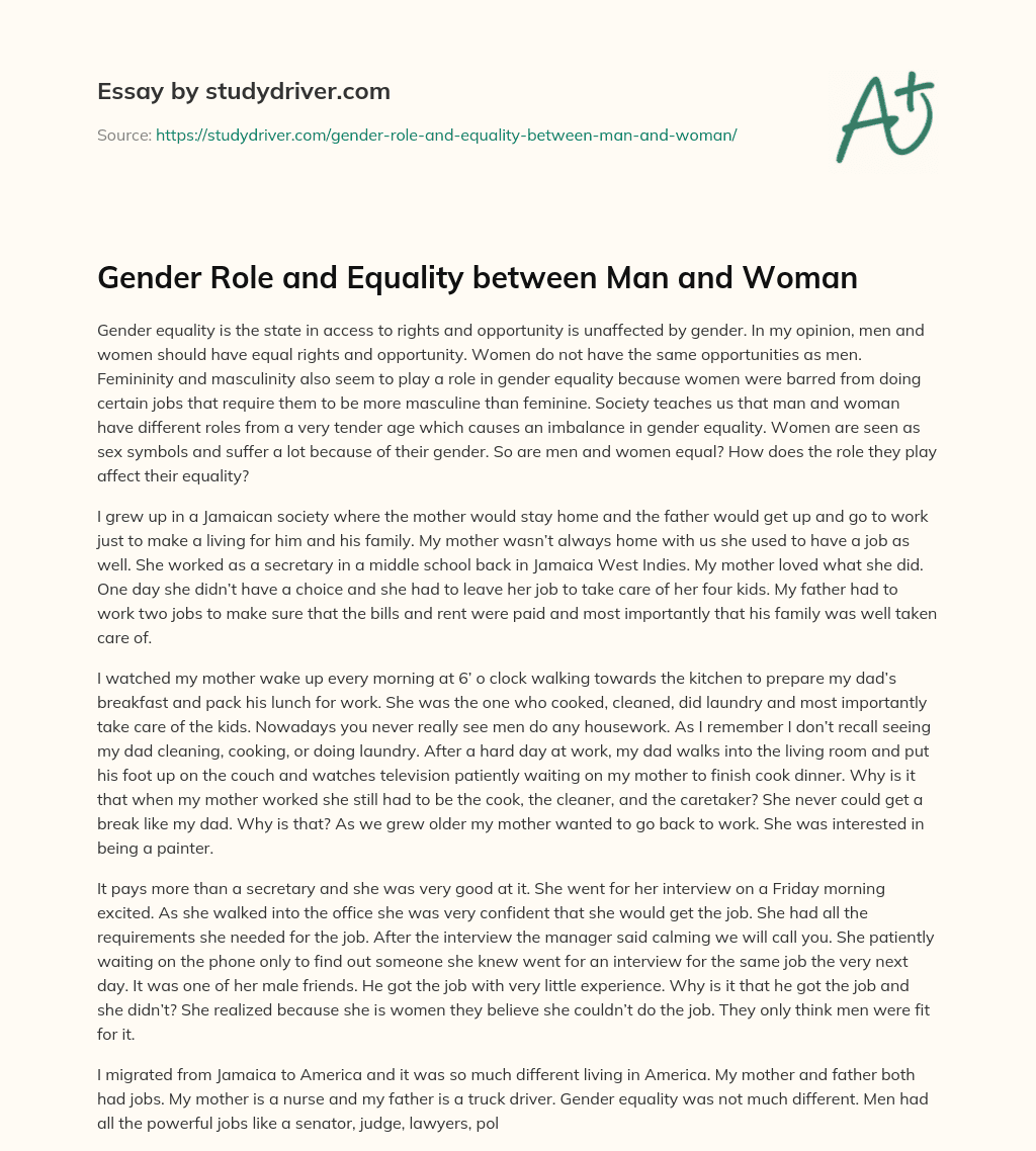 Gender Role and Equality between Man and Woman essay