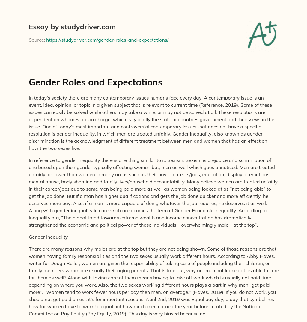 Gender Roles and Expectations essay