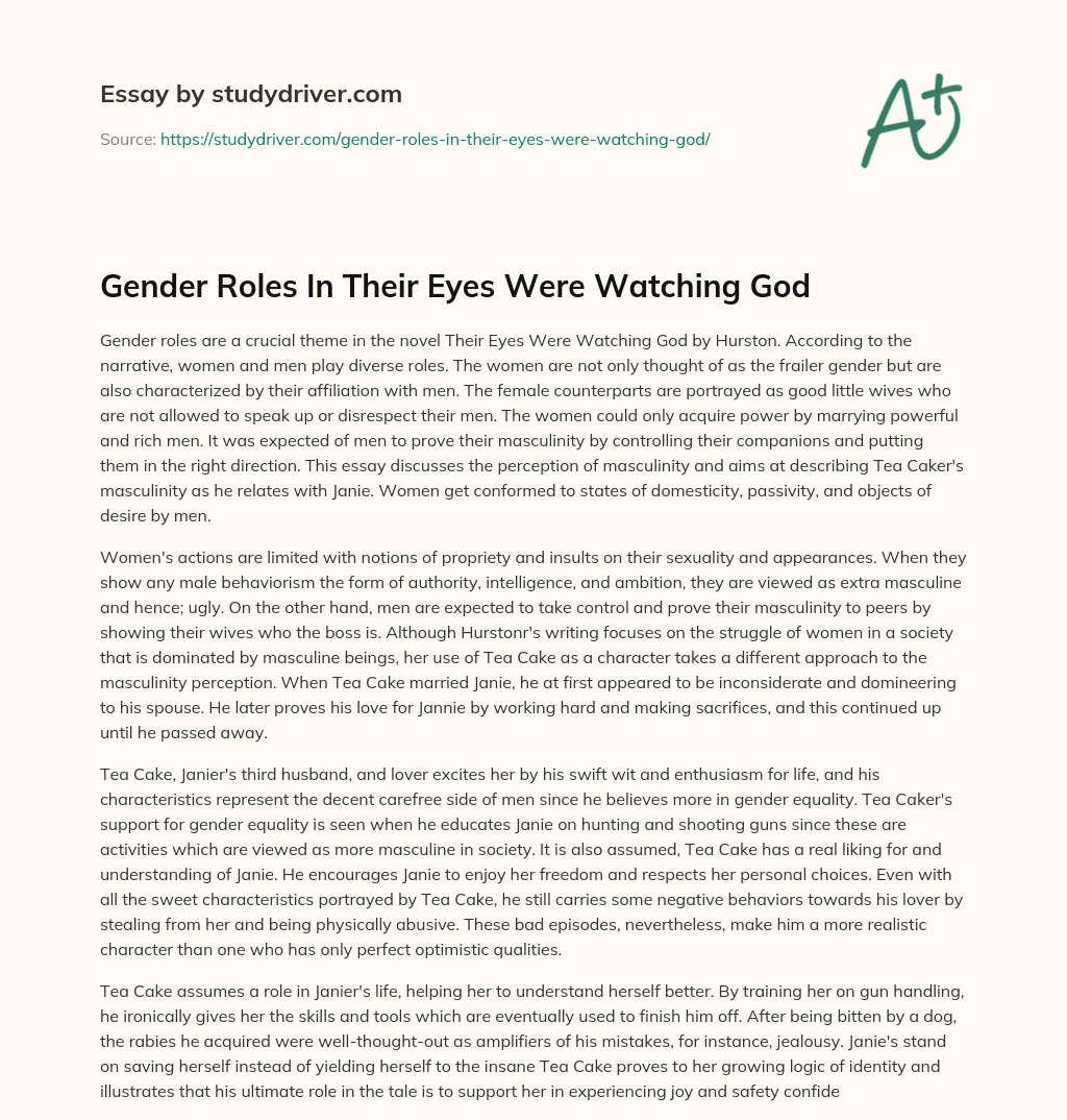 Gender Roles in their Eyes were Watching God essay