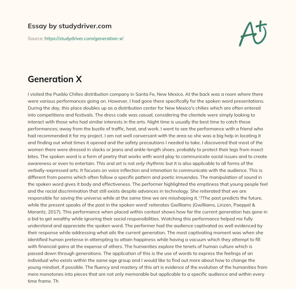 Generation X essay