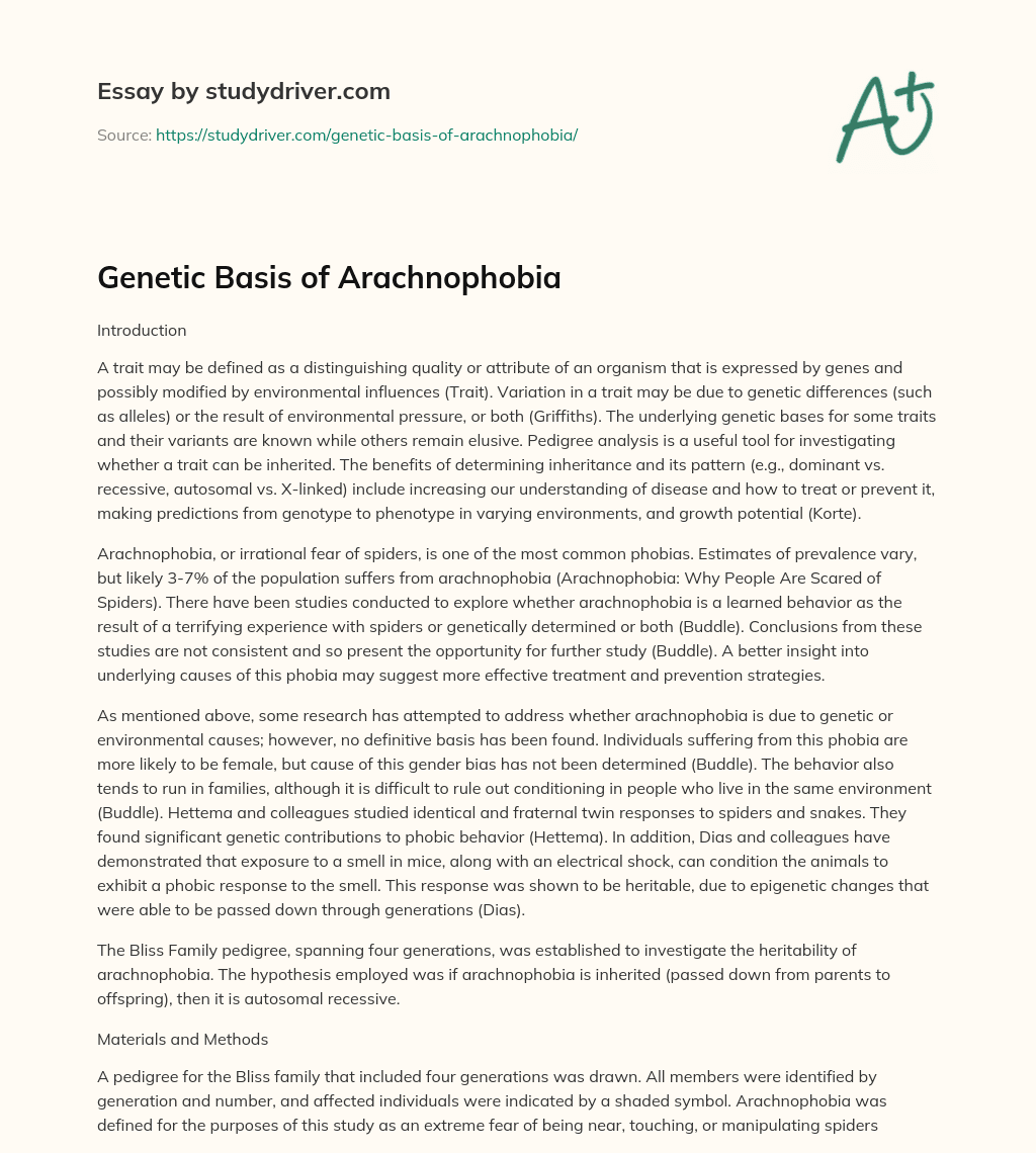 Genetic Basis of Arachnophobia essay