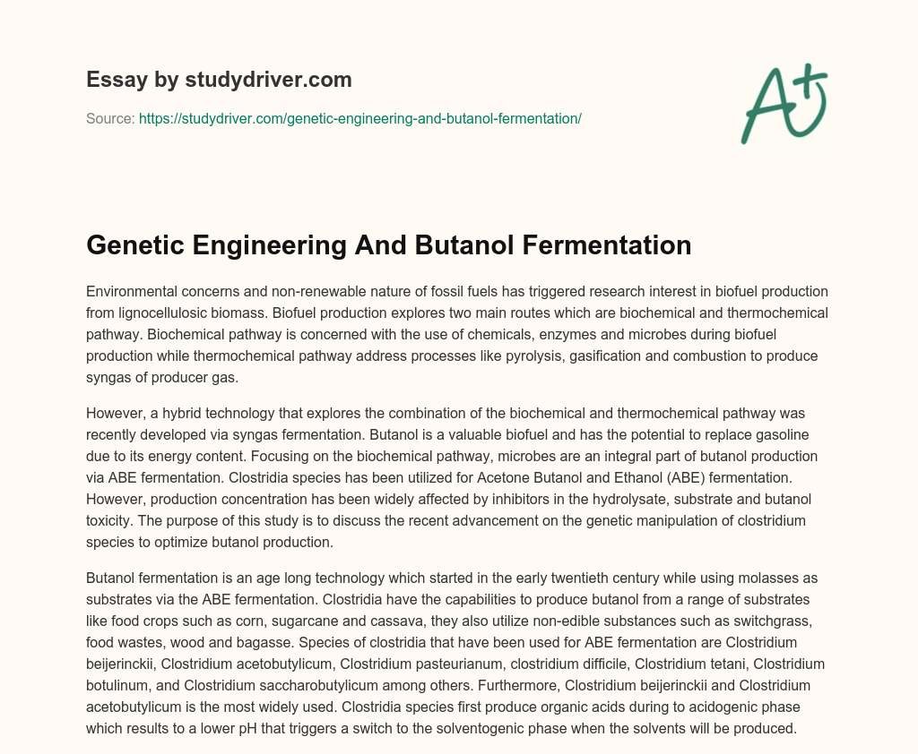 Genetic Engineering and Butanol Fermentation essay