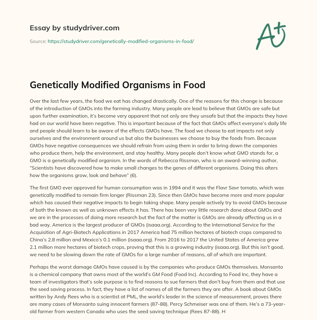 Genetically Modified Organisms in Food essay