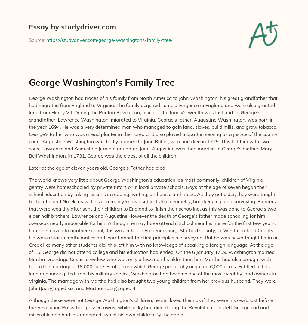 George Washington’s Family Tree essay