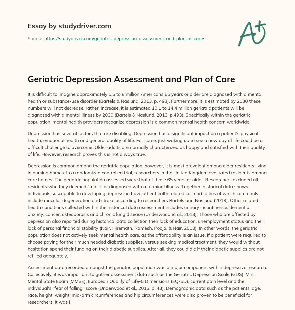 Geriatric Depression Assessment and Plan of Care essay